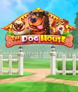 Pragmatic Play's The Dog House adventure, featuring an adorable journey into the world of charming canines. Discover features including free spins, designed for providing entertaining gameplay. Perfect for those who enjoy a lighthearted theme alongside lucrative rewards.